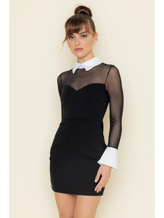 Collar Mesh Contrast Mini Dress